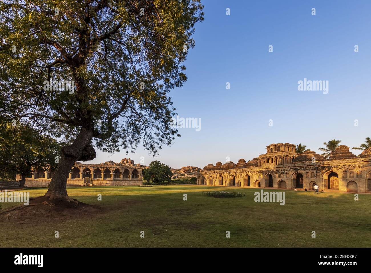 Ancient civilization in Hampi. India, State Karnataka. Old Hindu temples and ruins. Tree on foreground. Stock Photo