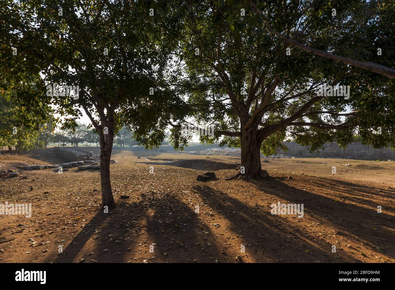 Ancient civilization in Hampi. India, State Karnataka. Old Hindu temples and ruins. Tree on foreground. Stock Photo