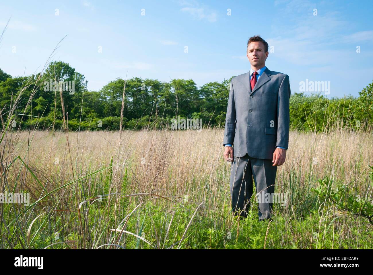 Grasses field alone freedom hi-res stock photography and images - Alamy