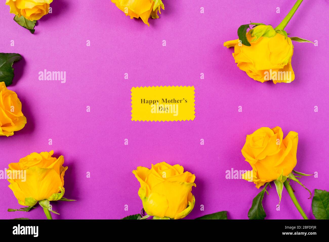 Yellow roses with greeting card text Happy Mother's Day on purple ...