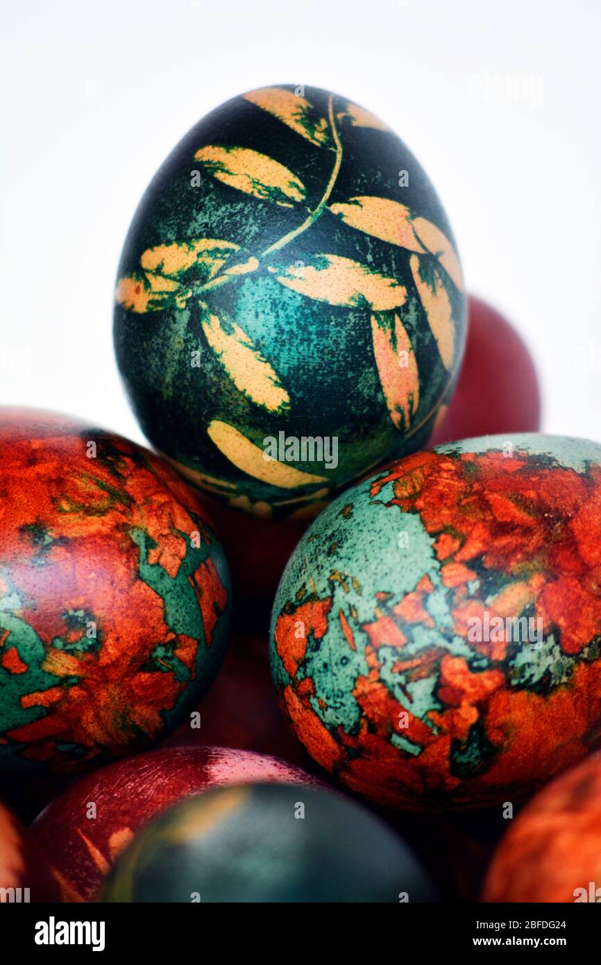 Pictures Of Chicken Eggs High Resolution Stock Photography and Images ...