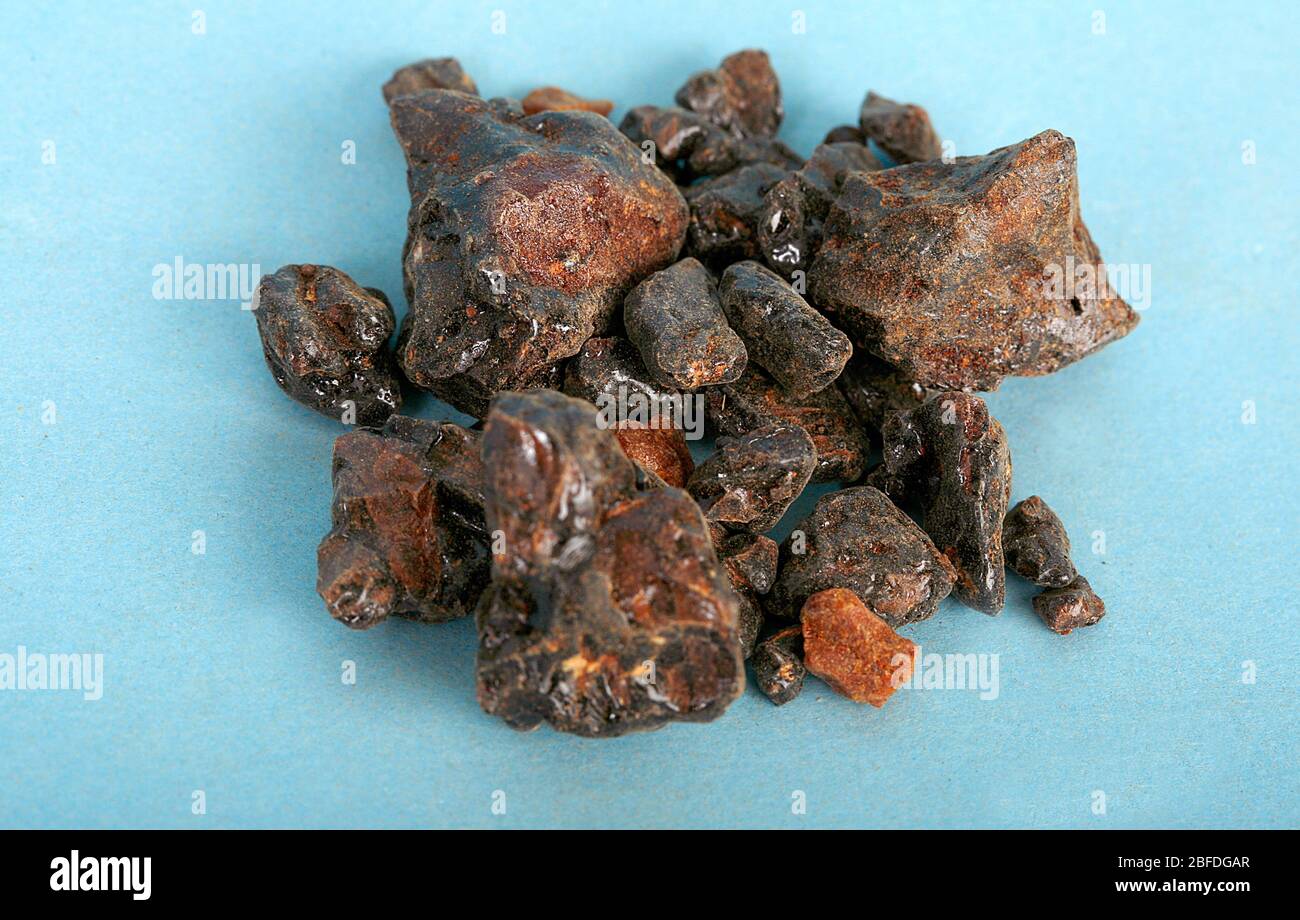 Benzoin Siam. Important traditional medicinal application are used as antiseptic and an astringent.  Indigenous societies from Java to India use Benzo Stock Photo