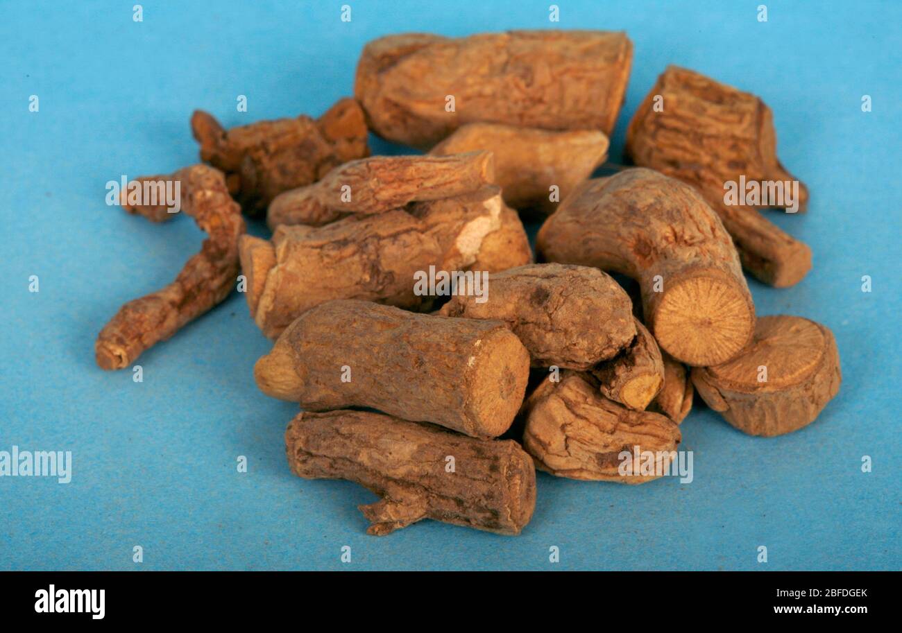 Rauwlfia root had been used for centuries to treat insanity and snake bites but in 1952 the drug  Reserpine was isolated from it to treat high blood p Stock Photo