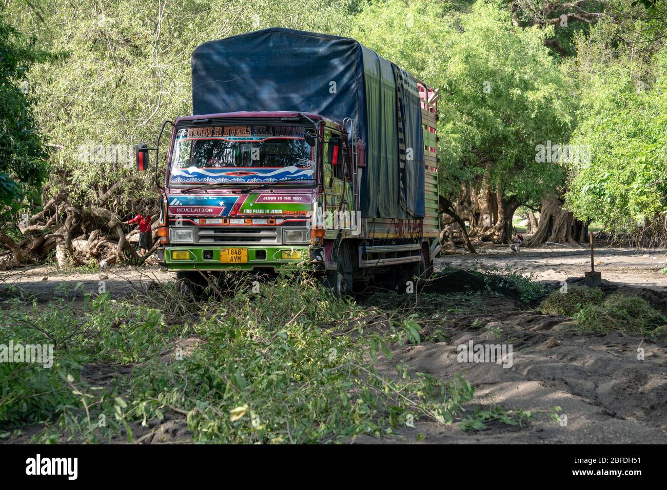 TANZANIA, ARUSHA - JAN 2020: Heavy Cargo Truck Stuck on the Sandy Road in Africa. Putting BranchesUnder Wheels at African Mainland Roads. East Africa Stock Photo