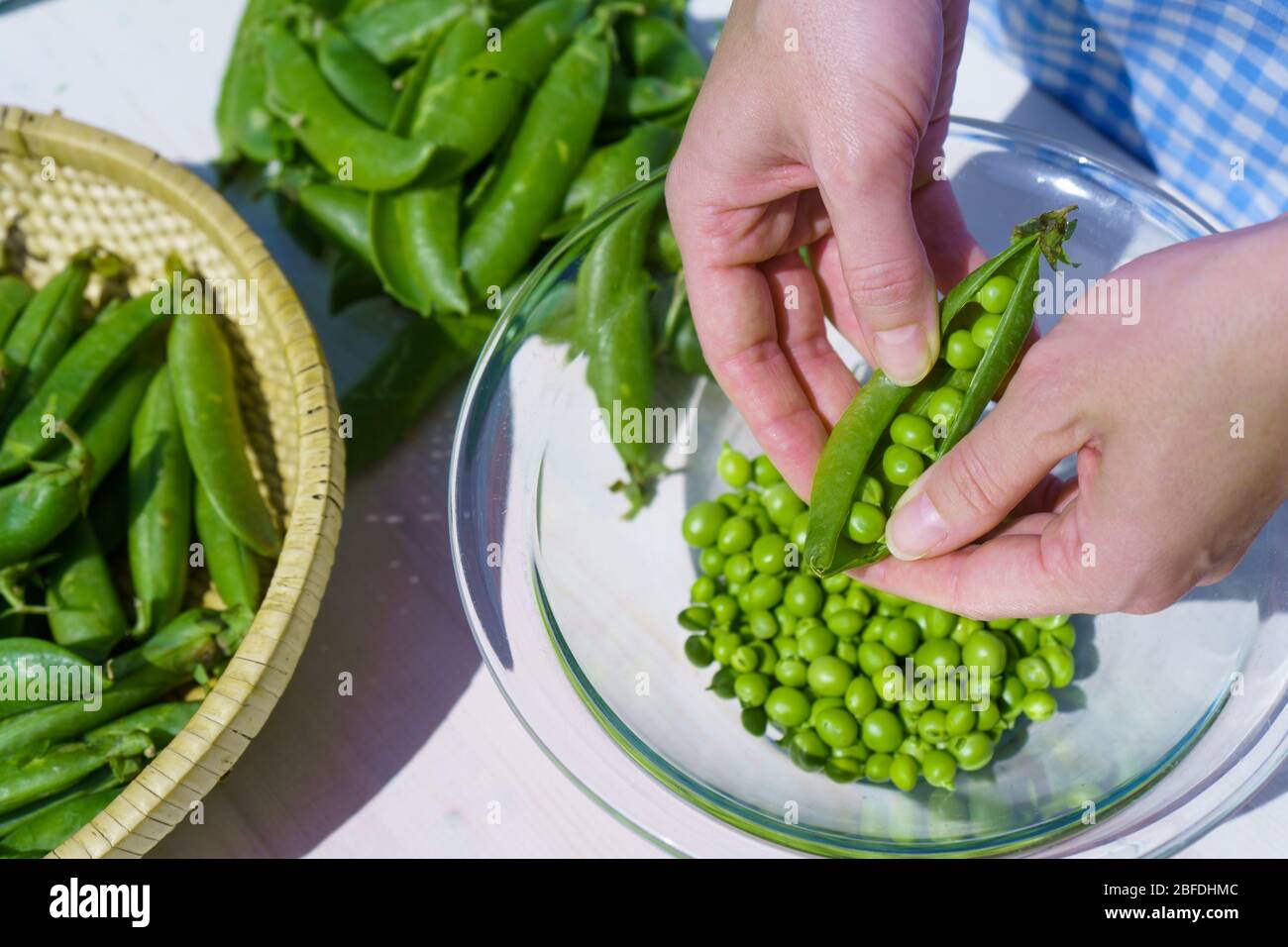 Woman with apron shells peas inside a glass bowl outdoors with strong sunlight in the greenery Stock Photo