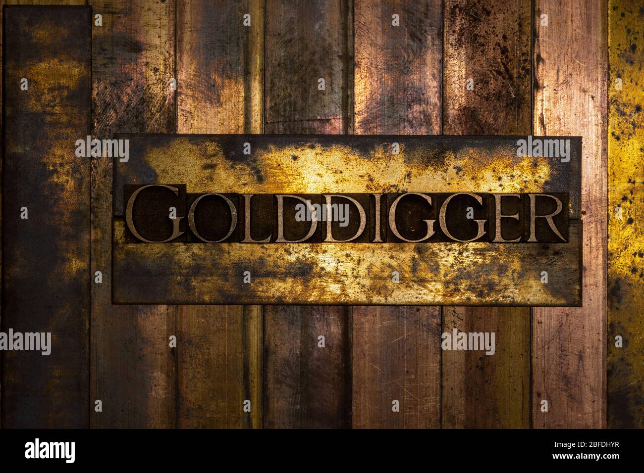 Gold Digger text on vintage textured grunge copper and gold