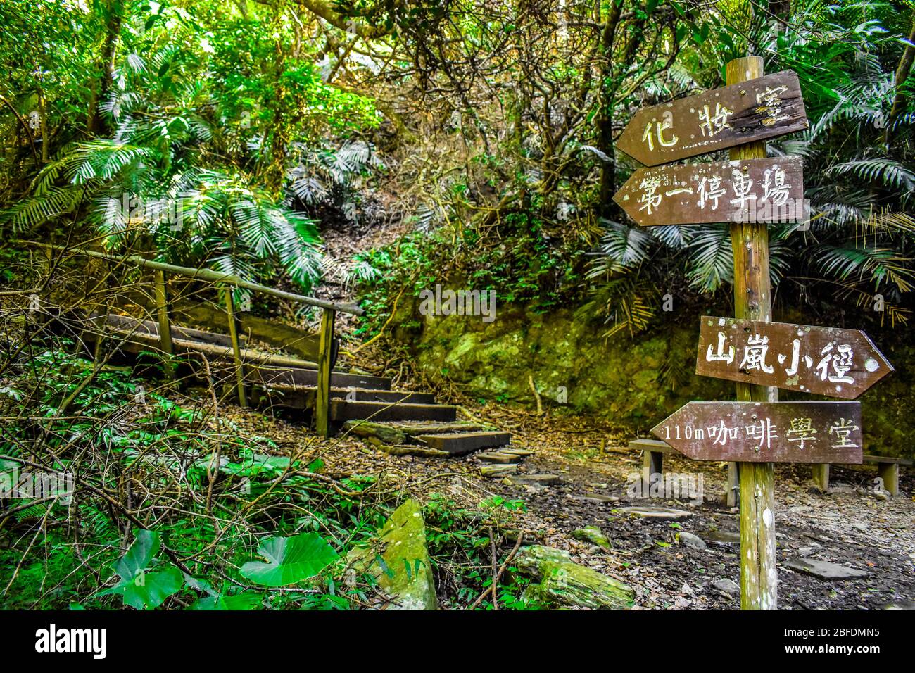 Hiking in the taiwanese jungle, natural beauty, Huisun forest Stock ...