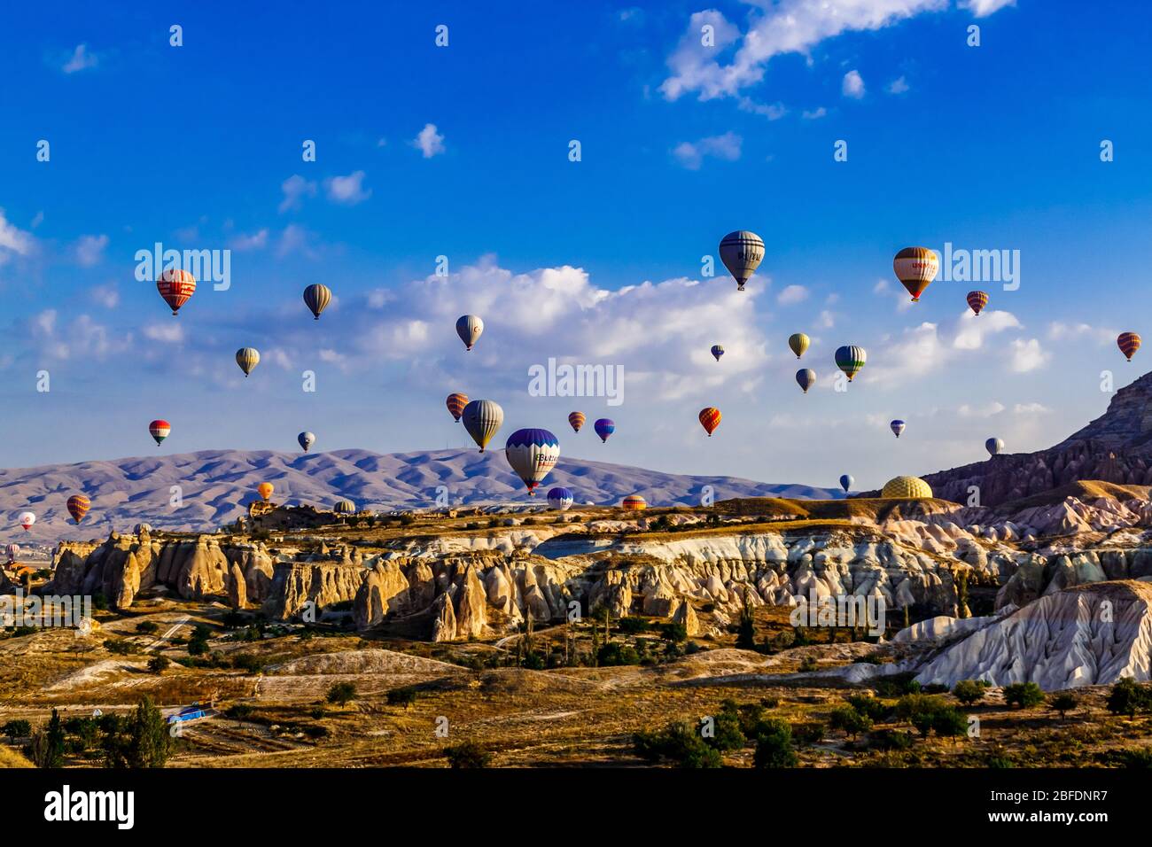 Colorful hot air balloons flying over the valley at Cappadocia, Anatolia, Turkey. Volcanic mountains in Goreme national park. Stock Photo