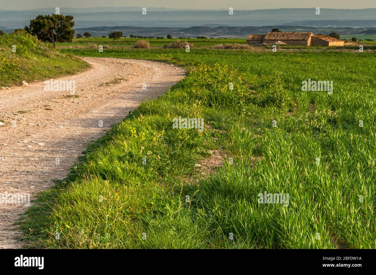 Monegros fields, Aragonesse, Spain Stock Photo