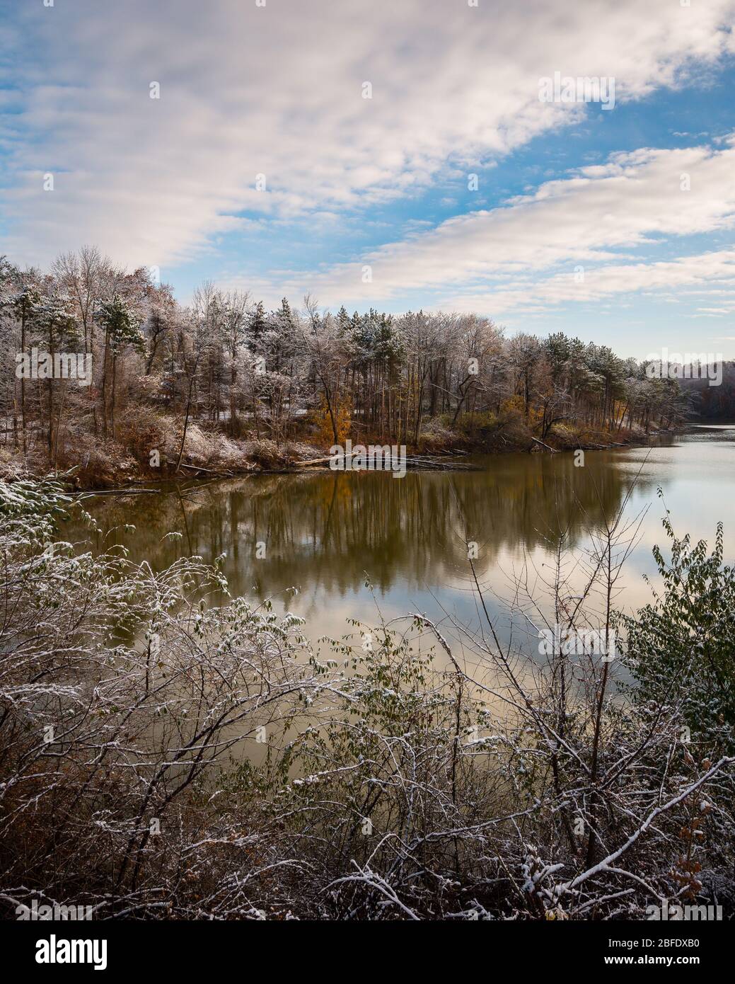 Lakeside forests frosted with fresh snow in Southern New England