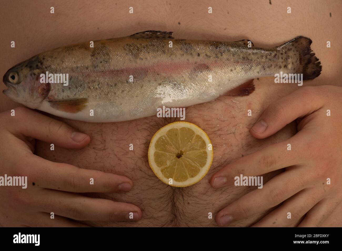 Fish stomach hires stock photography and images Alamy
