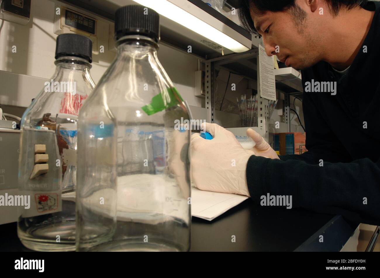 A technician in a laboratory preparing induced puripotent stem cells for animal testing. Stock Photo