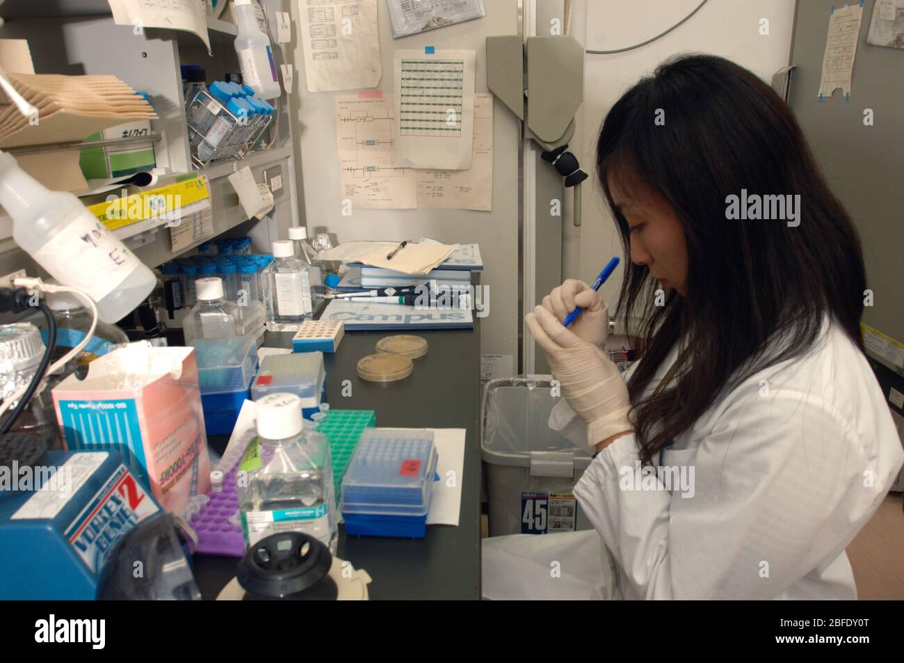 A technician in a laboratory at the Institute for Frontier Medical Sciences, Kyoto University, Japan preparing induced puripotent stem cells for anima Stock Photo