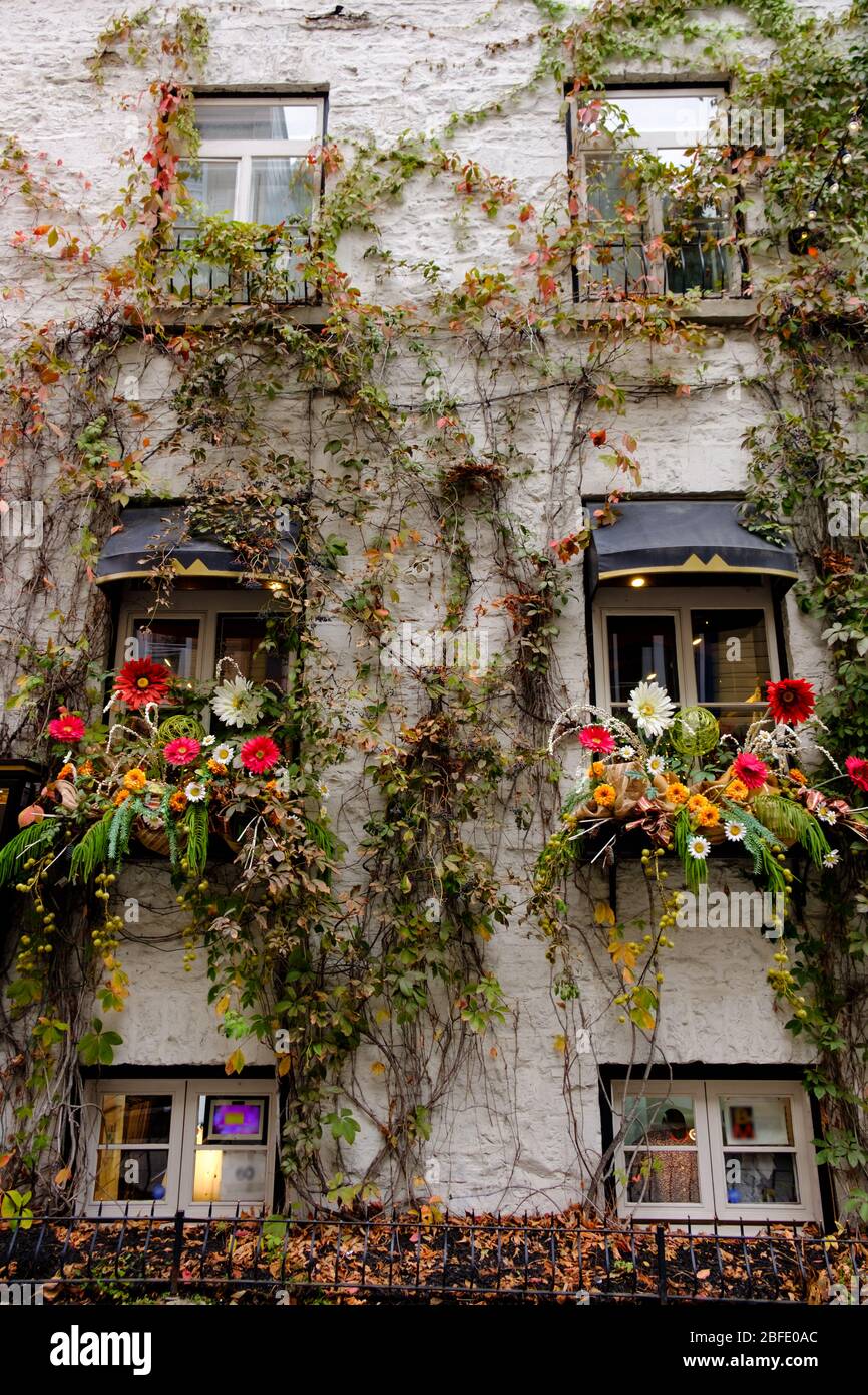 Colorful flower planters by shop's windows, Quebec, Canada Stock Photo Alamy