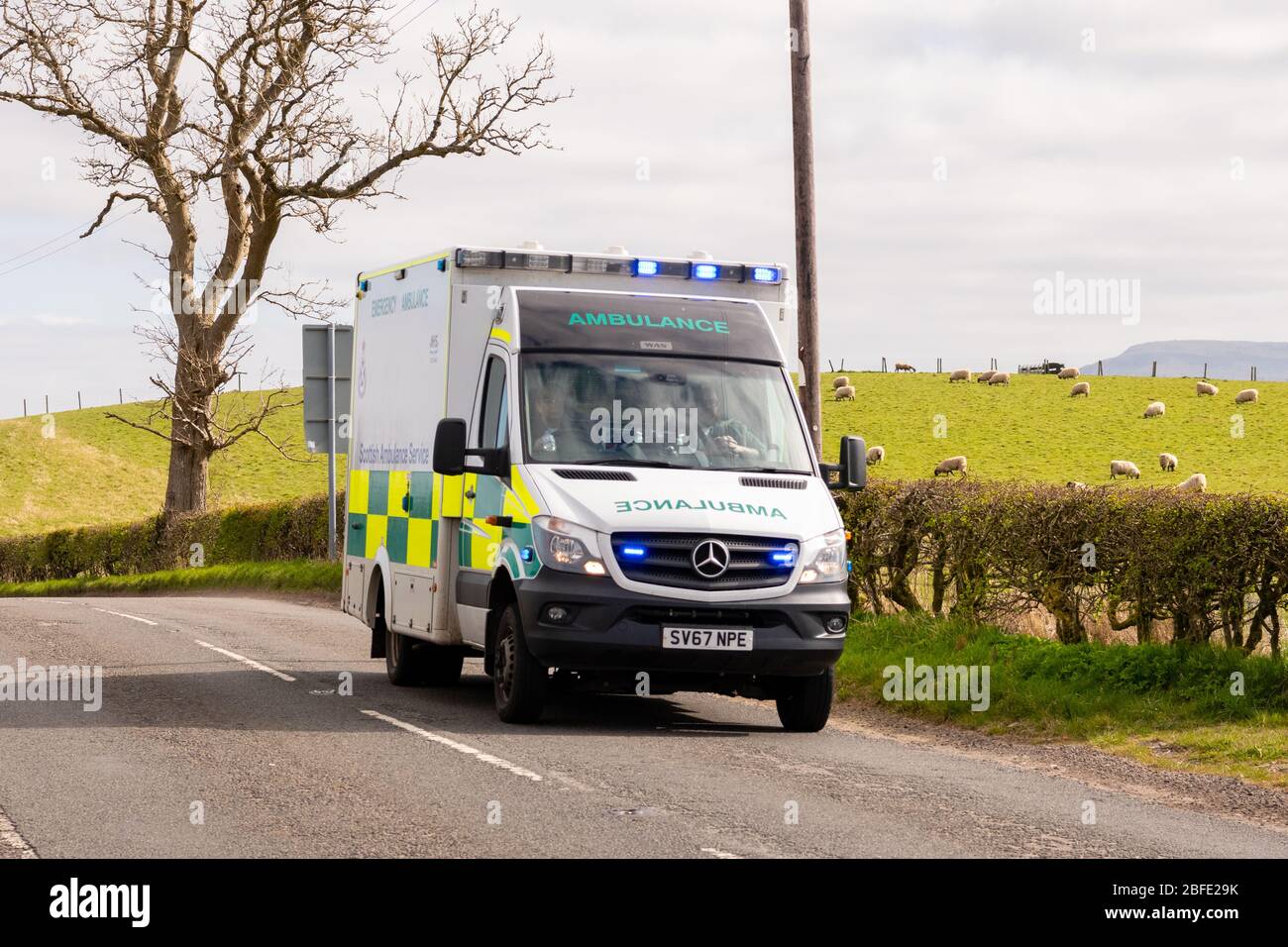 Scottish Ambulance with blue flashing lights responding to emergency call during coronavirus pandemic lockdown in rural Stirlingshire, Scotland, UK Stock Photo