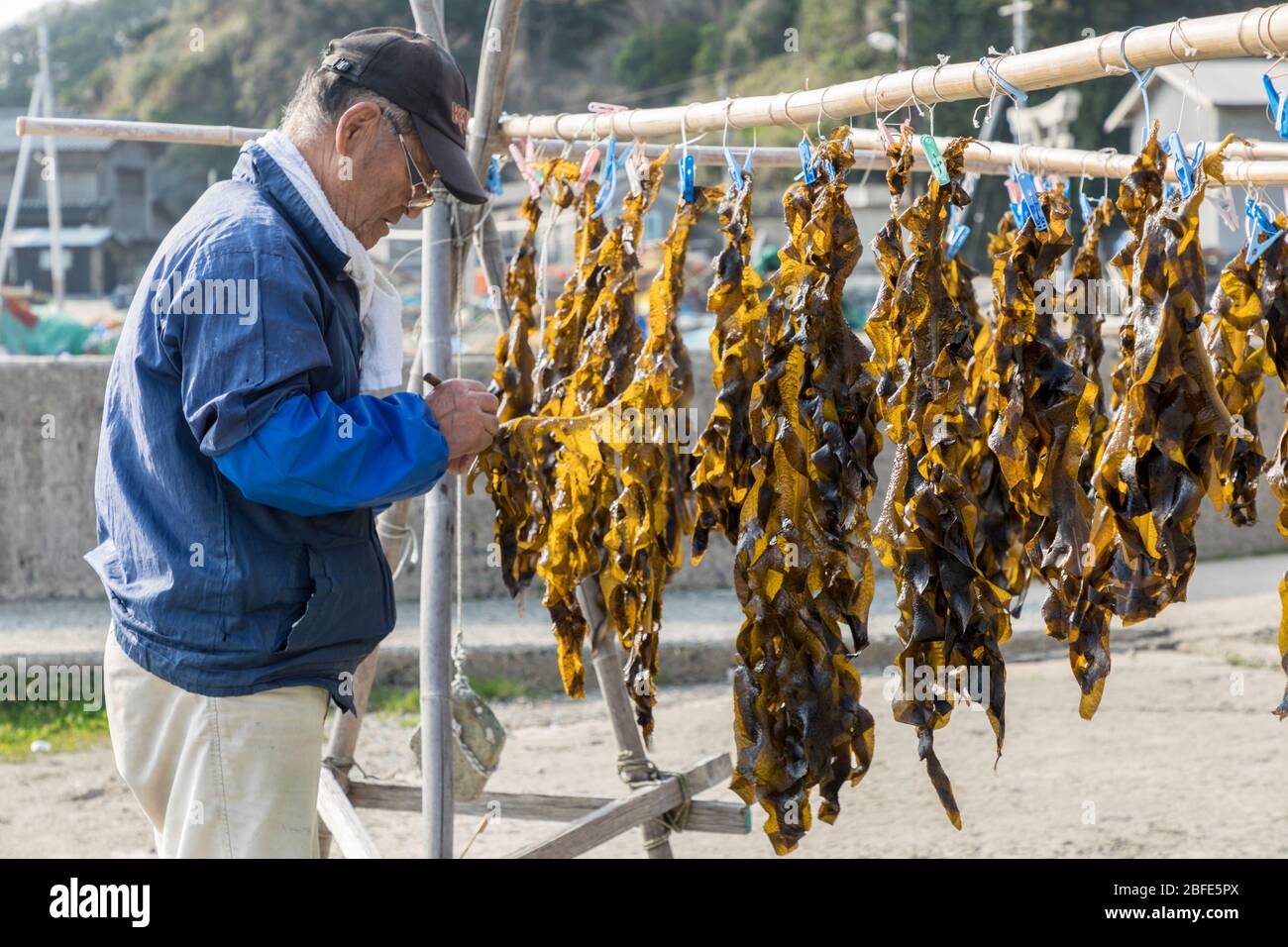 Drying seaweed japan hires stock photography and images Alamy