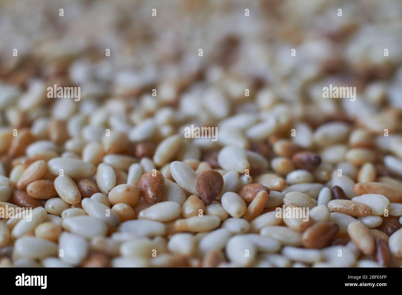 Extremely closeup food background sesame seeds of varying degrees of