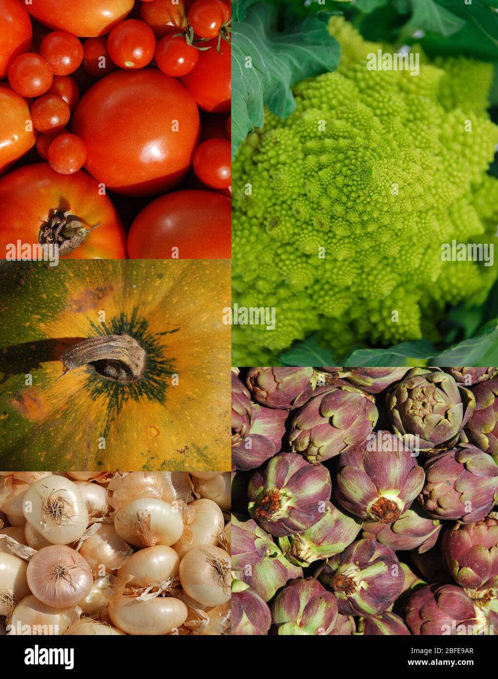 A collage of 5 colourful vegetable types: romanesco cauliflower, artichokes, pumpkin, button onions & a variety of tomatoes (including cherry & plum) Stock Photo