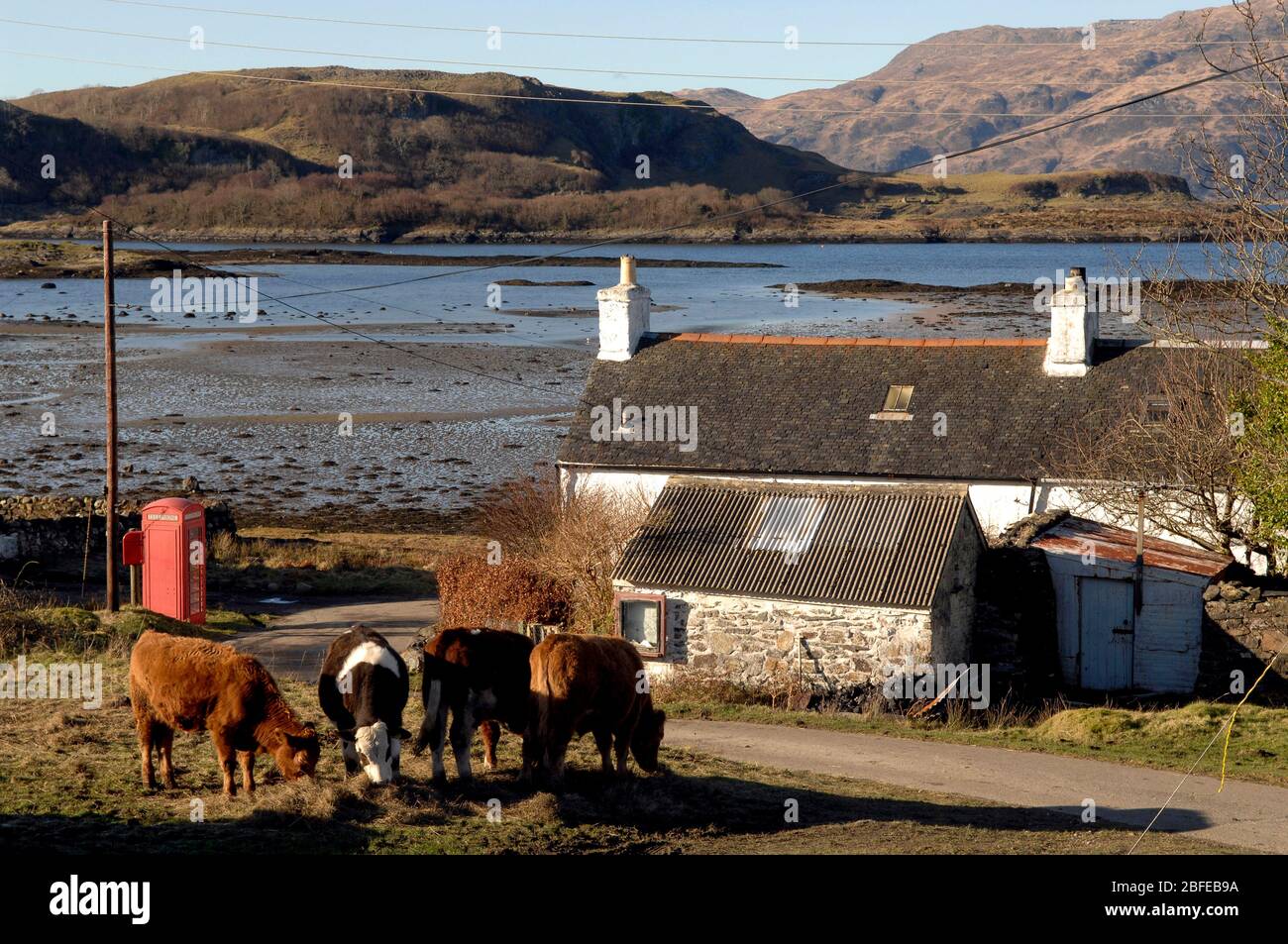 Port Ramsay, Lismore, Scotland Stock Photo Alamy
