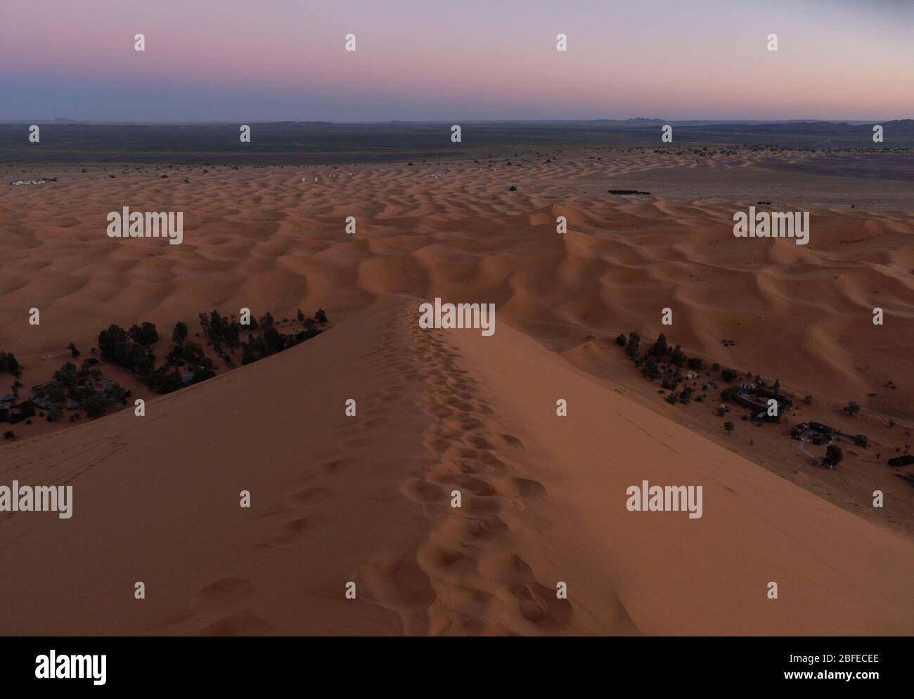 Oasis in Sand dunes of Erg Chebbi in the Sahara Desert, Morocco Stock Photo