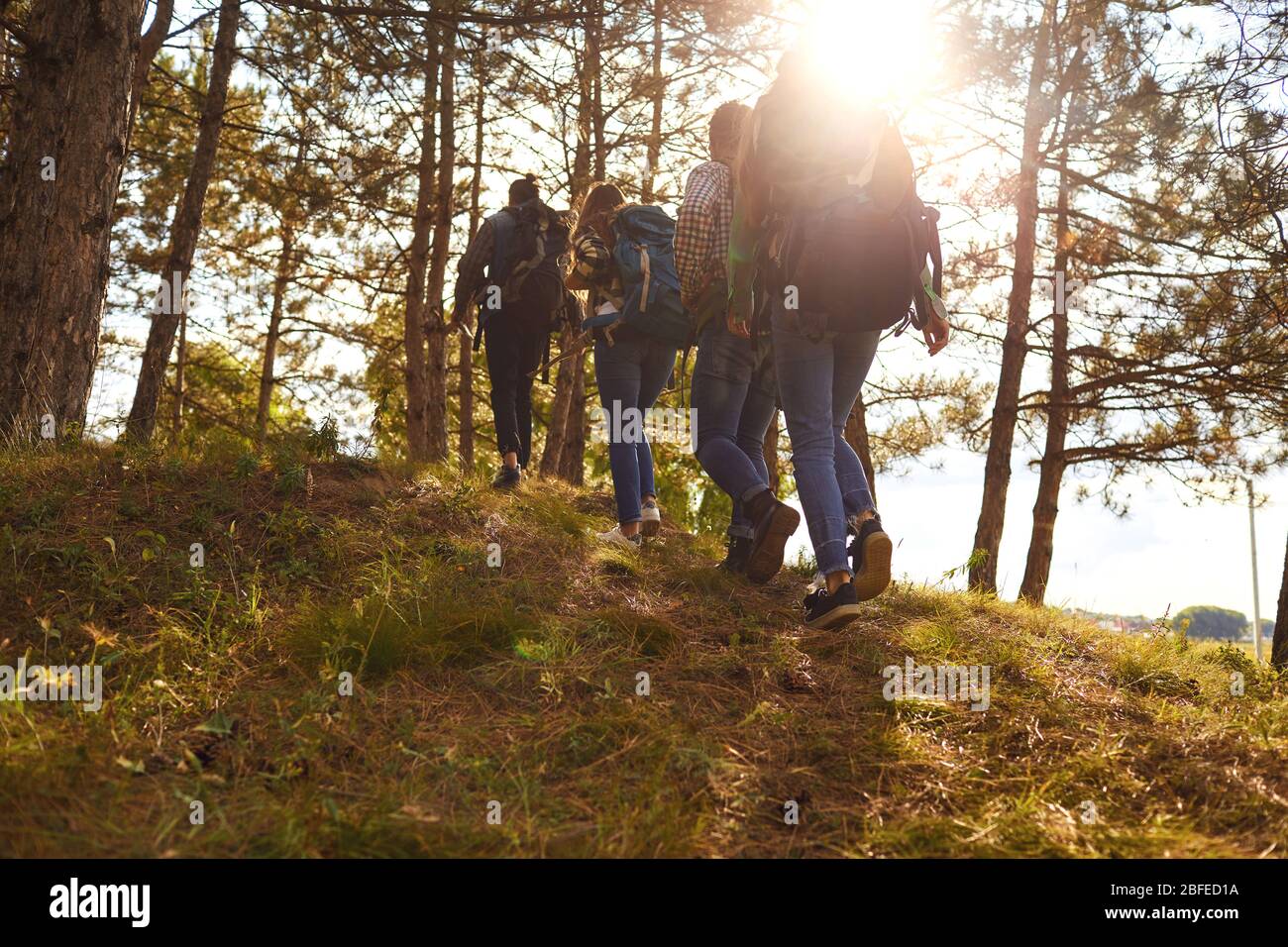 Young people with backpacks walking in the forest Stock Photo