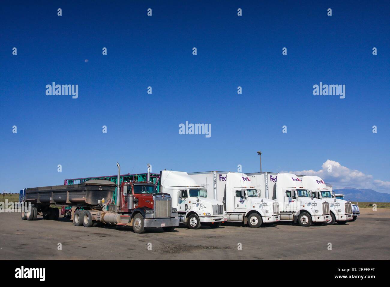 Fedex delivery trucks parked in row. Side view of cabins and trailers at highway rest stop under blue sky. American transport freight delivery vehicle Stock Photo