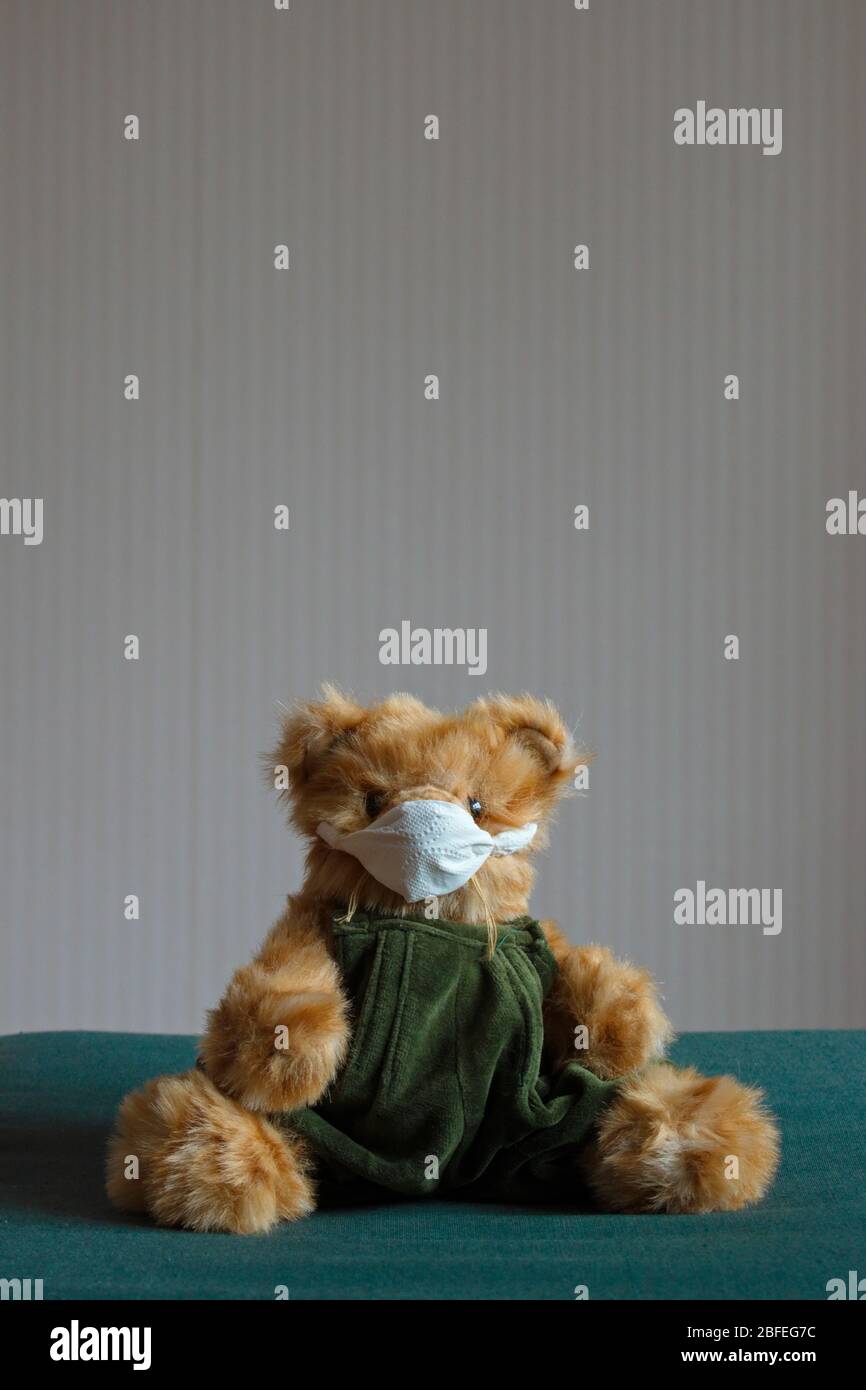 A furry teddy bear wearing a protective face mask is sitting on a chair. Stock Photo