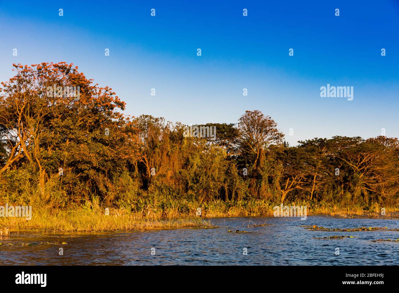 landscapes of las isletas de Granada Nicaragua lake Stock Photo