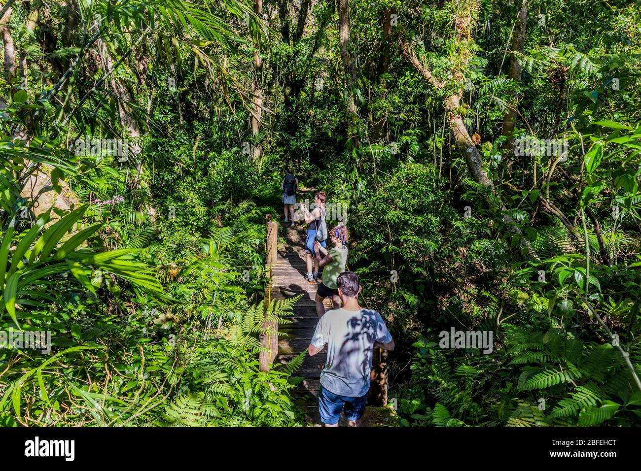 Granada  , Nicaragua - March 07, 2018 : tourist walking in the forest trekking track of the Mombacho Volcano Granada in Nicaragua Stock Photo