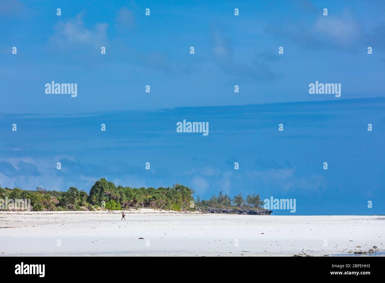 Muyuni white sand beach   in Unguja aka Zanzibar Island Tanzania East Africa Stock Photo