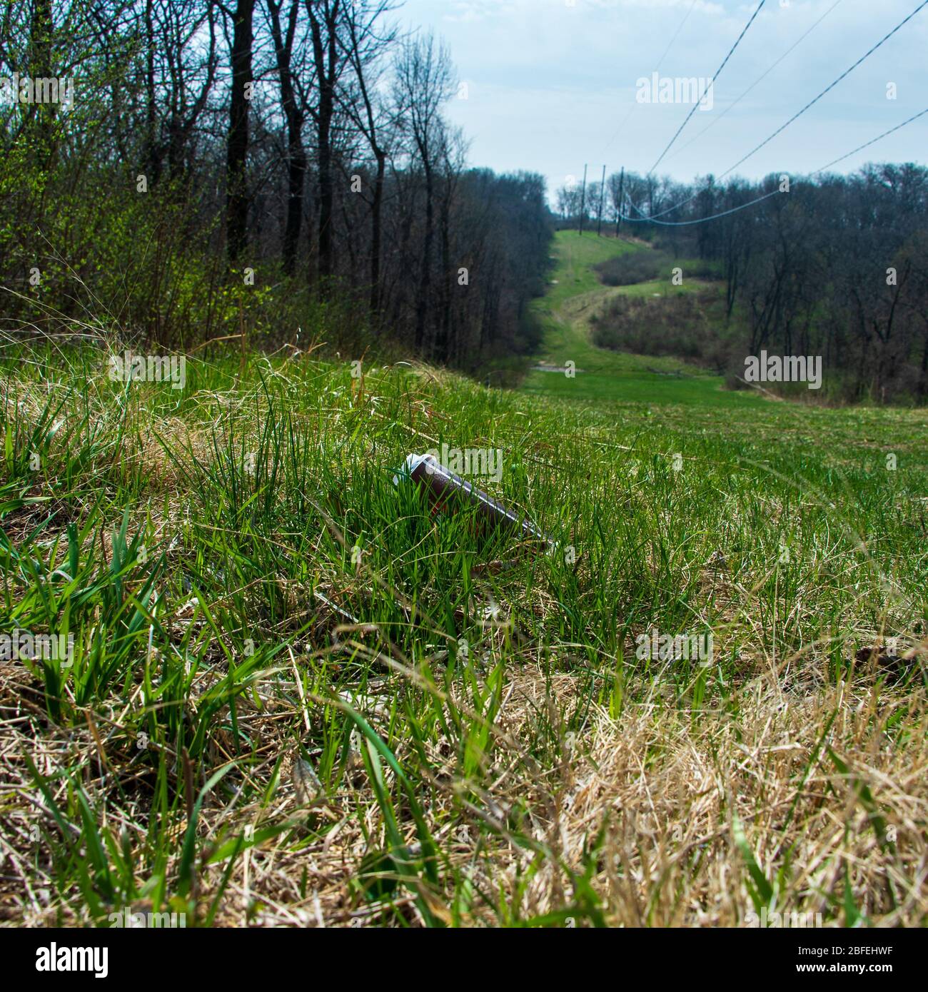 A discarded coffee cup lies almost hidden in early springtime grass in Southwoods Park, West Des Moines, Iowa. Stock Photo