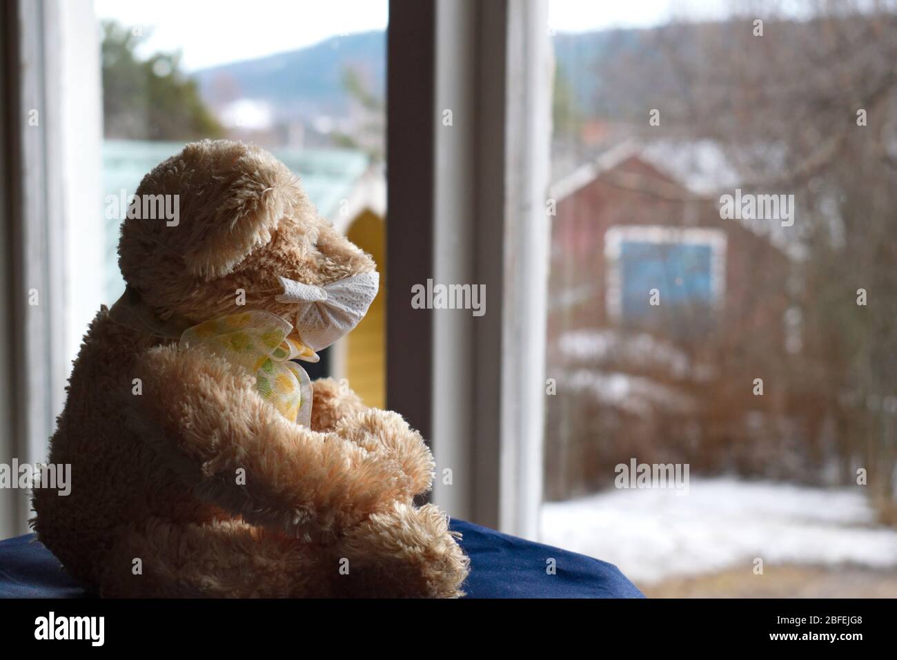 A teddy bear wearing a face mask is sitting in front of a window, looking out onto a snow-covered garden in Sweden. Stock Photo