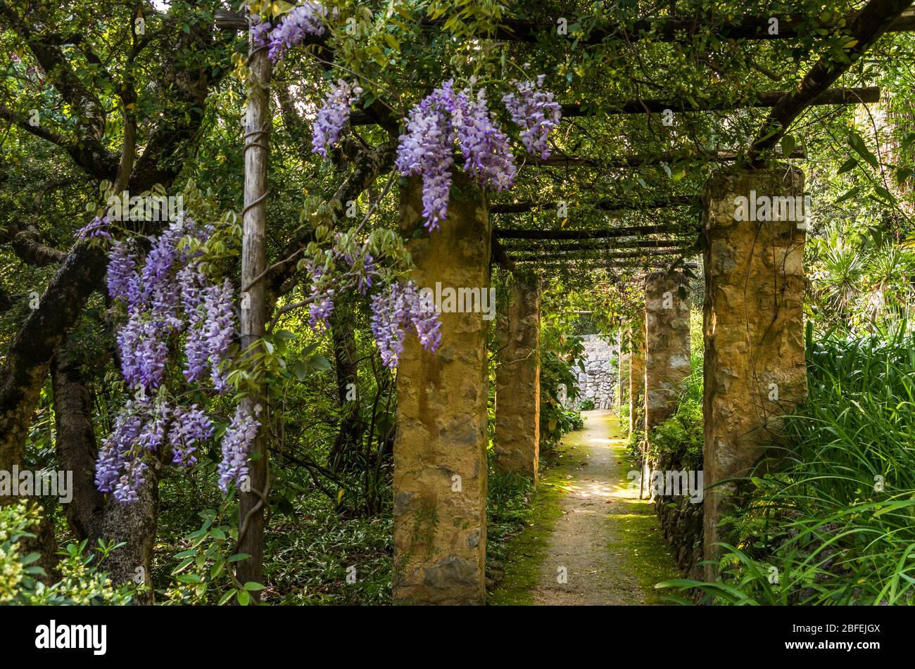 Gardens, Menton, French Riviera Stock Photo Alamy