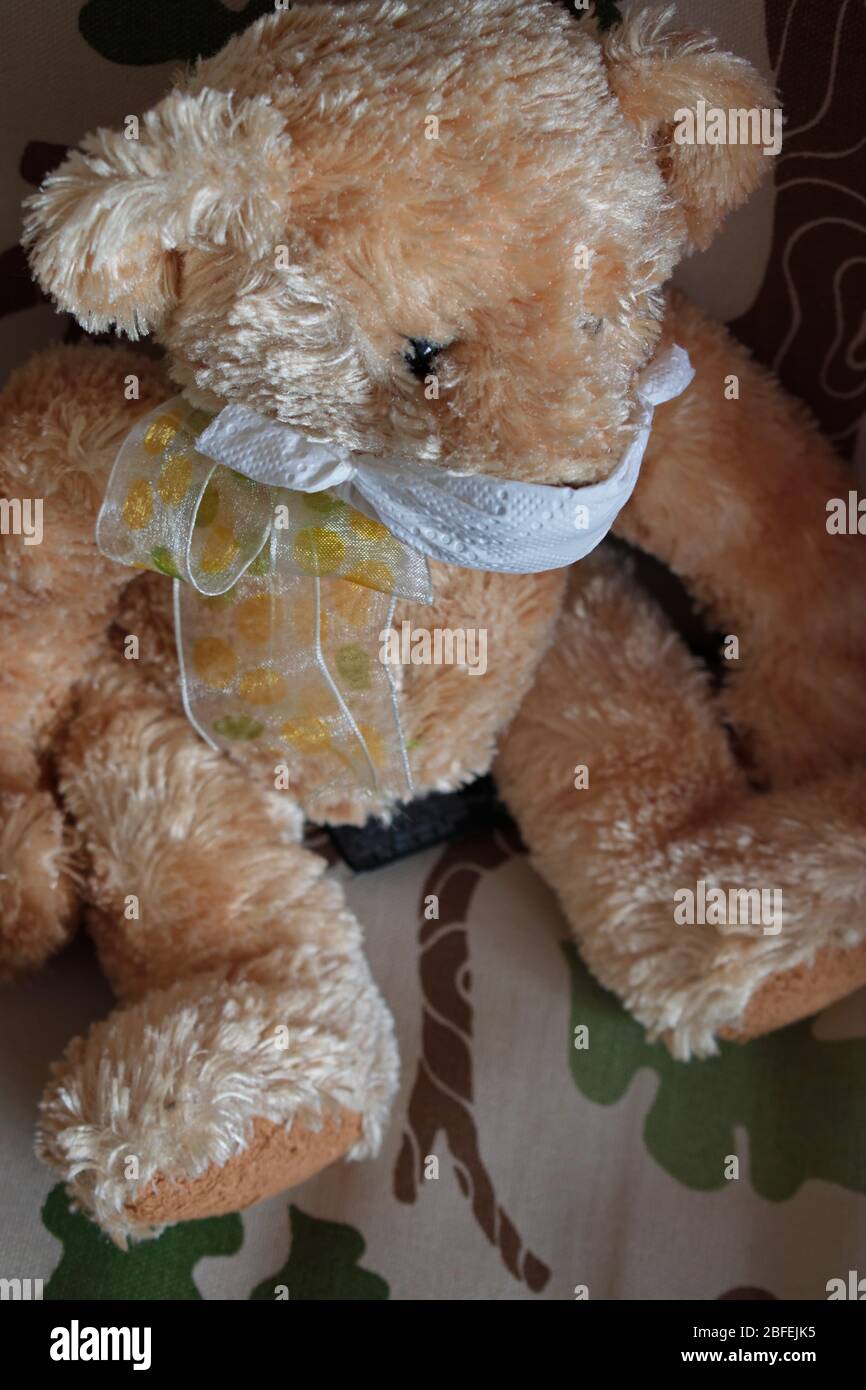 A teddy bear wearing a protective face mask is sitting on an armchair - seen from above. Stock Photo
