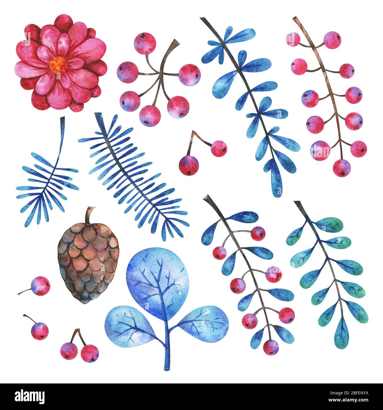 Watercolor floral elements set Stock Photo - Alamy