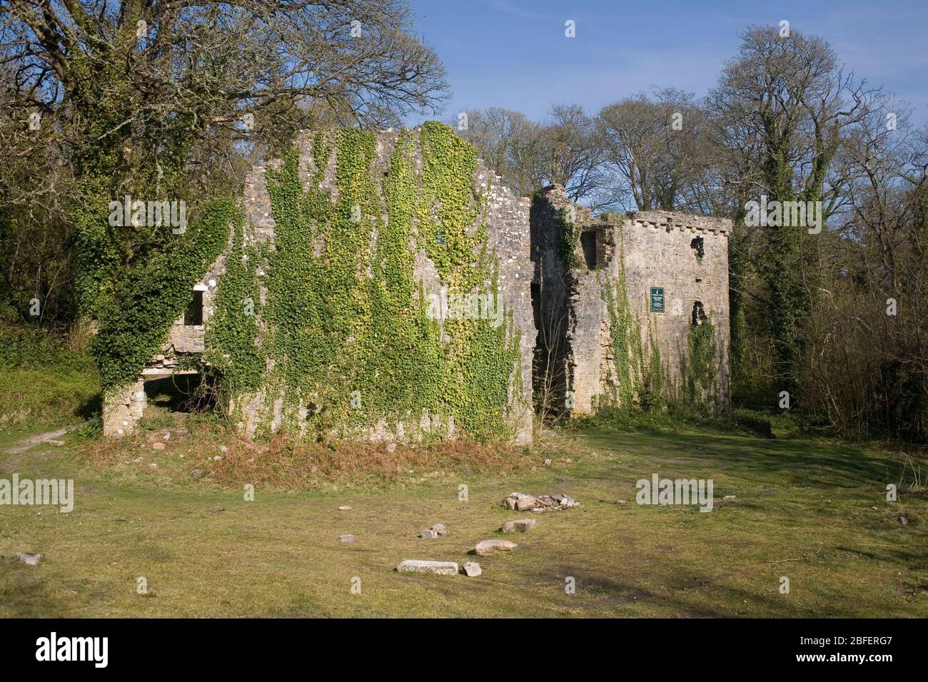 West facing remains of Candleston castle Stock Photo Alamy