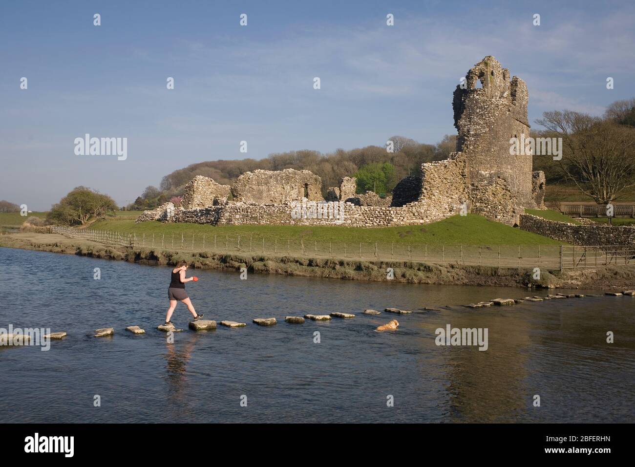 Ogmore castle with young woman crossing Ewenny river on the stepping stones with her dog Stock Photo