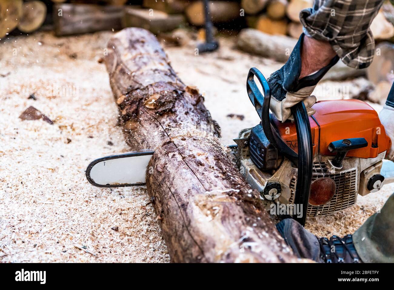 Woodcutter working with chainsaw at sawmill. Man cutting wood logs
