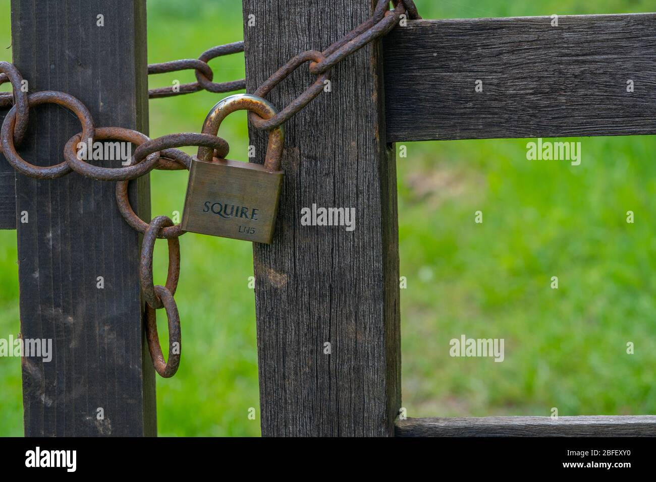 Old Rusty Chain and Padlock on Gate Stock Photo