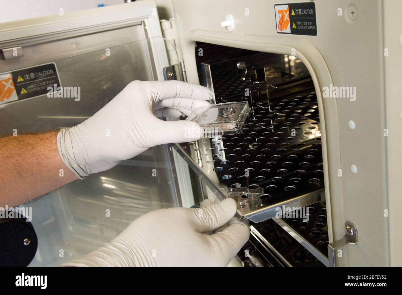 A doctor placing fertilised embryos into an incubation unit. The unit