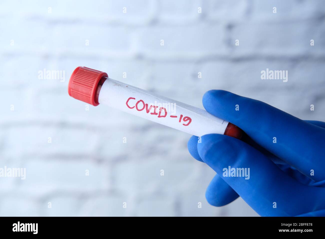laboratory technician testing corona virus , COVID 19 test. Stock Photo