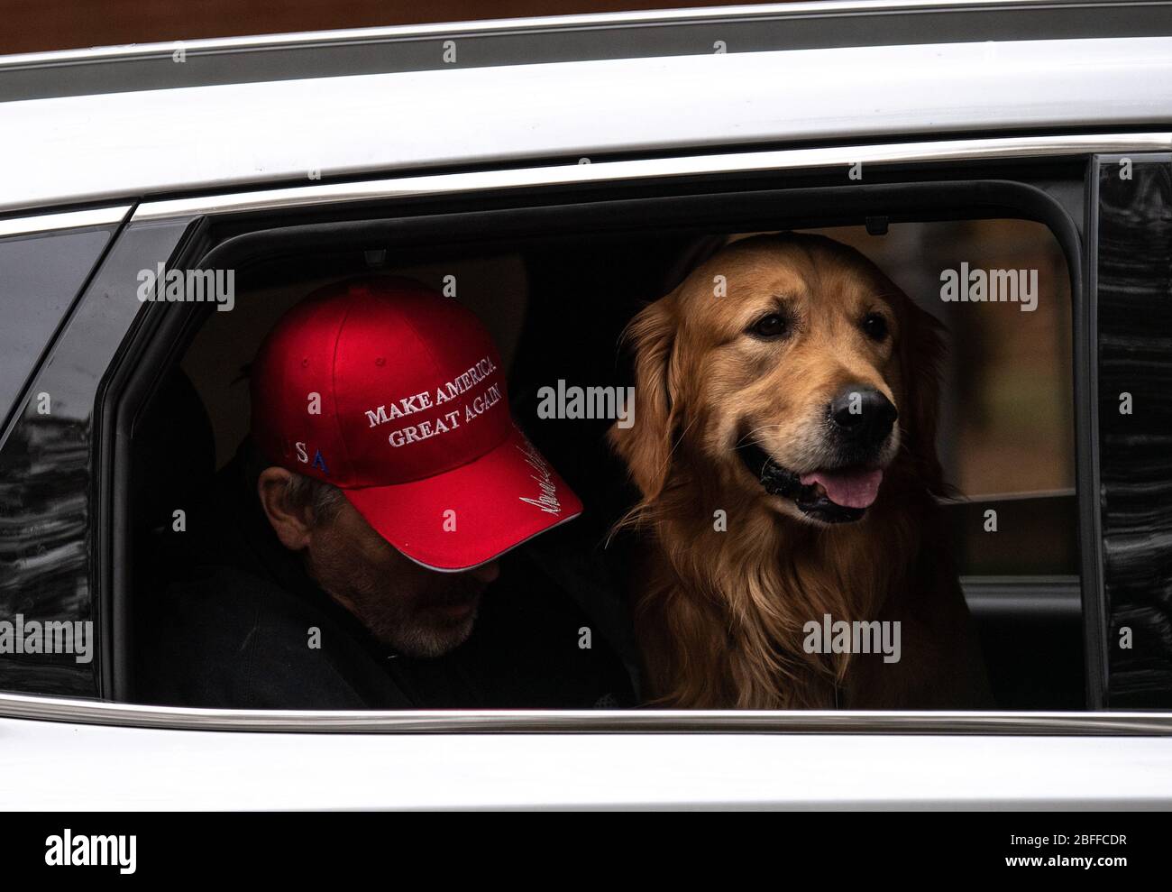 dog maga hat