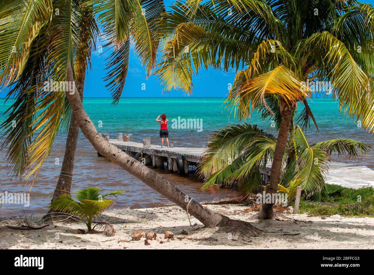 Palms and old pier in Punta Allen Sian Ka'an Reserve, Yucatan Peninsula, Mexico.  In the language of the Mayan peoples who once inhabited this region, Stock Photo