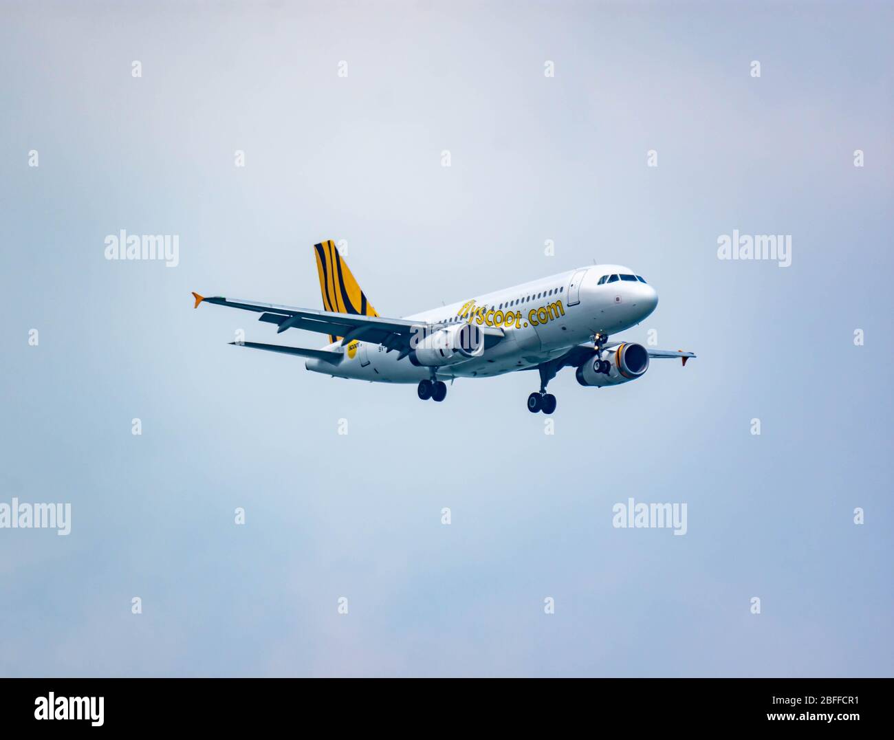 SCOOT AIRLINE airplane during landing at Changi International Airport