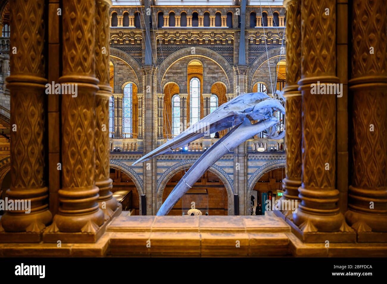 The Natural History Museum, South Kensington, London Stock Photo
