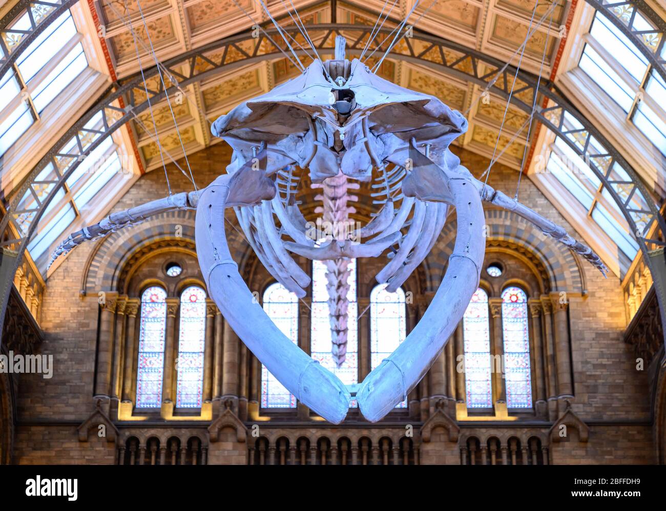 The Natural History Museum, South Kensington, London Stock Photo