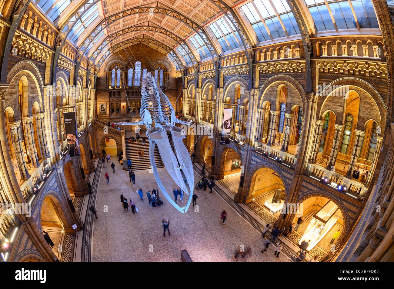 Natural History Museum London Tube Station
