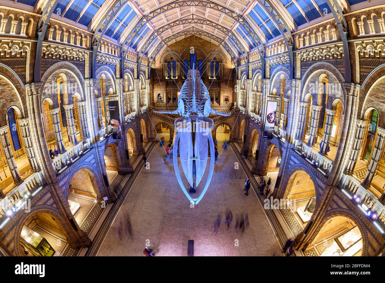 The Natural History Museum, South Kensington, London Stock Photo