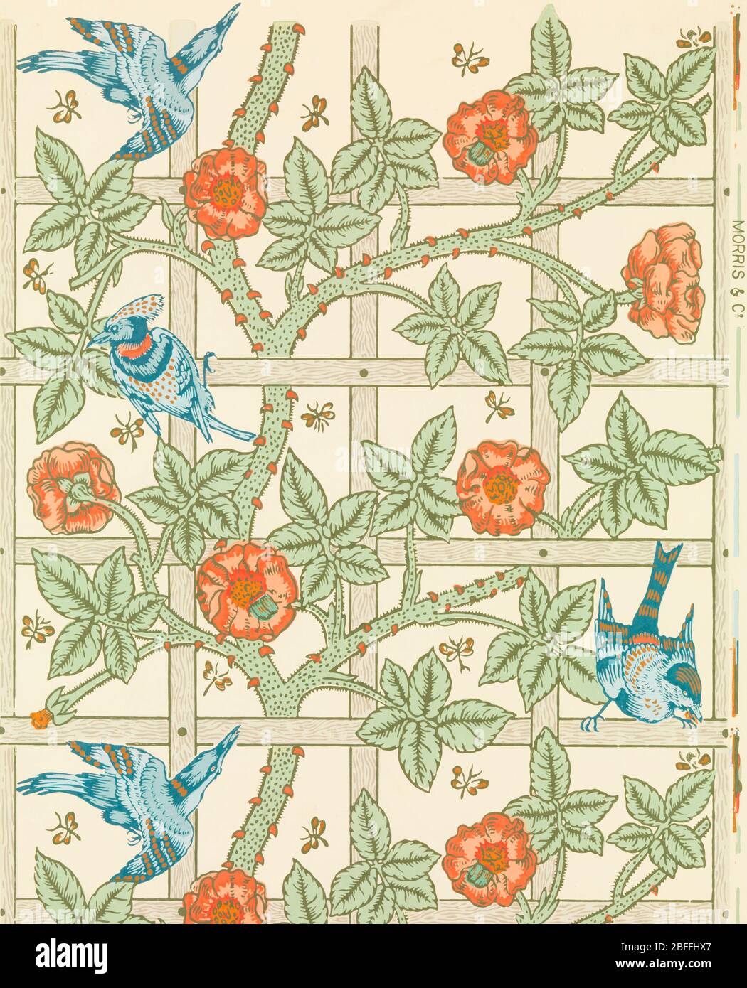 Pattern Illustration Design Flower Texture Wallpaper Art