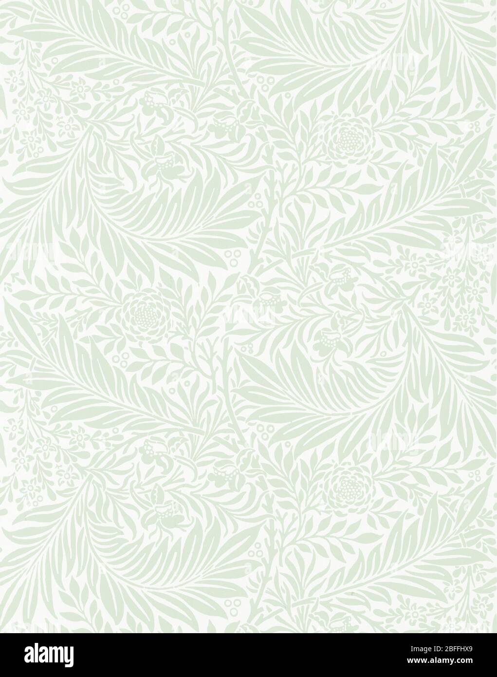 A White Flower Paper Sculpture Background, High Resolution, Flower, Luck  Background Image And Wallpaper for Free Download